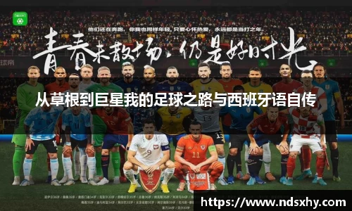 BB贝博登录入口