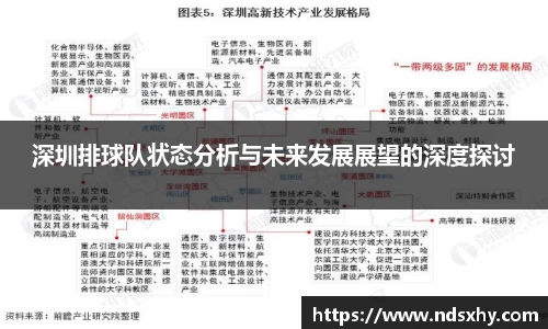 深圳排球队状态分析与未来发展展望的深度探讨